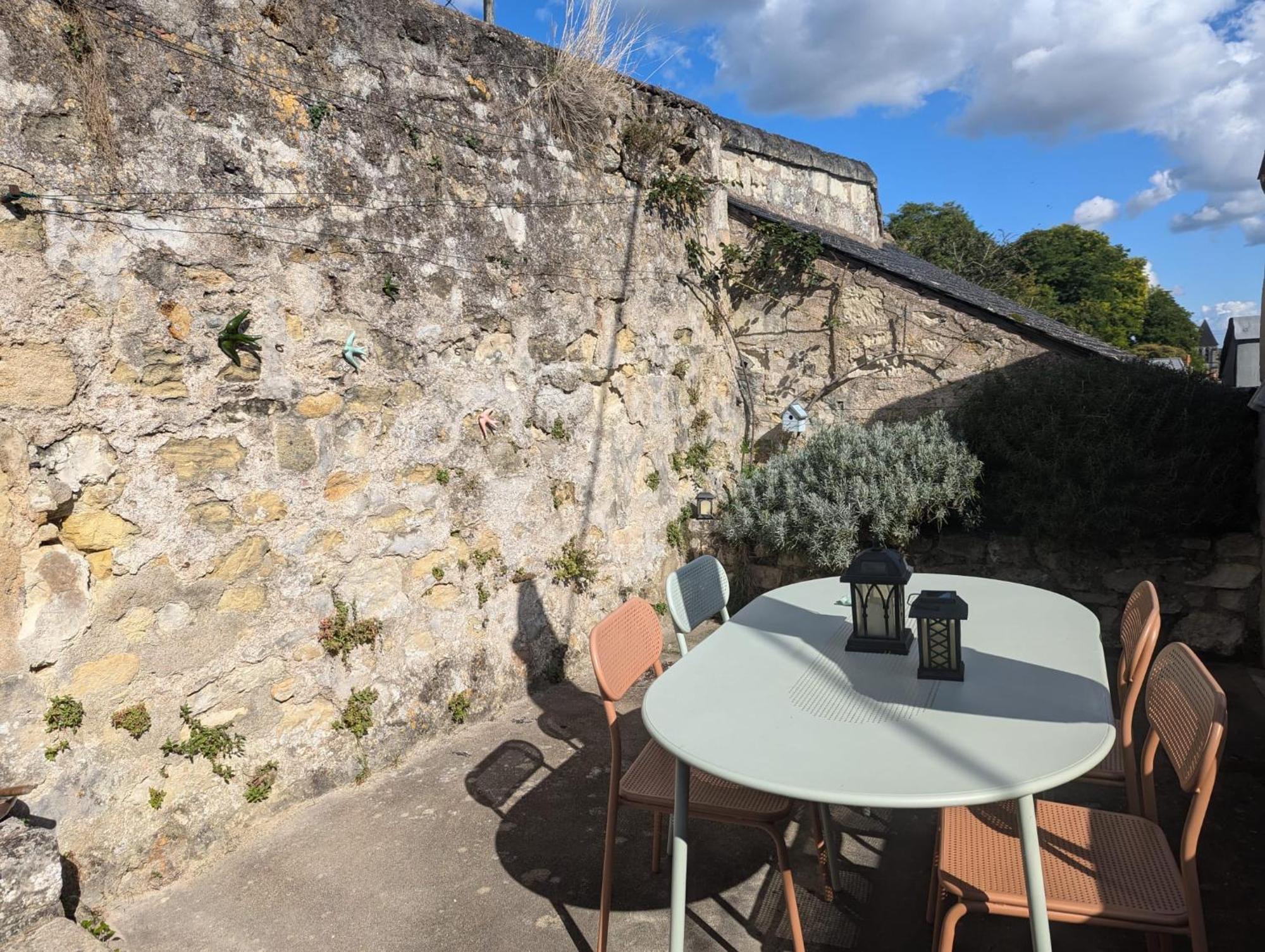 Appartement Des Hirondelles , Au Pied Du Chateau Σινόν Εξωτερικό φωτογραφία